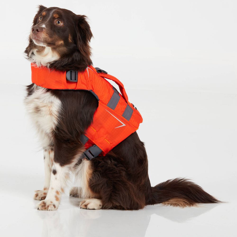 A brown and white dog, secured in an orange NRS CFD Dog Life Jacket crafted from durable Ripstop Nylon, confidently sits on a white surface, prepared for a buoyant adventure.