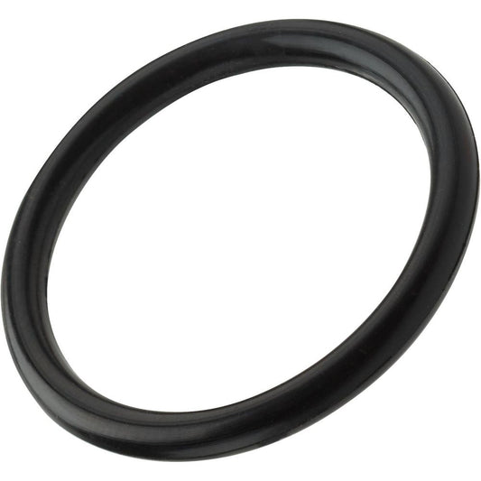 The NRS Super Pump Replacement O-Ring is a black rubber O-ring on a white background, perfect as a foam replacement for NRS Super pumps.