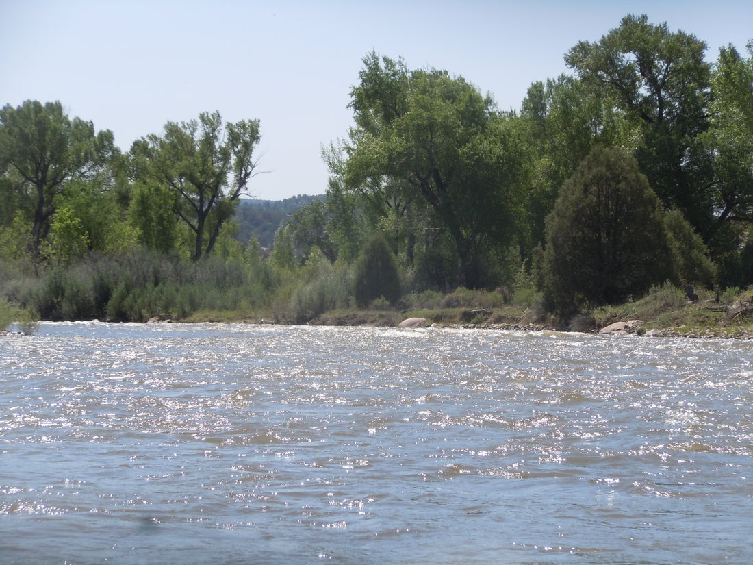 San Juan River easy floats