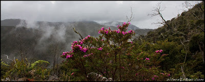 Costa Rica with Chris Baer