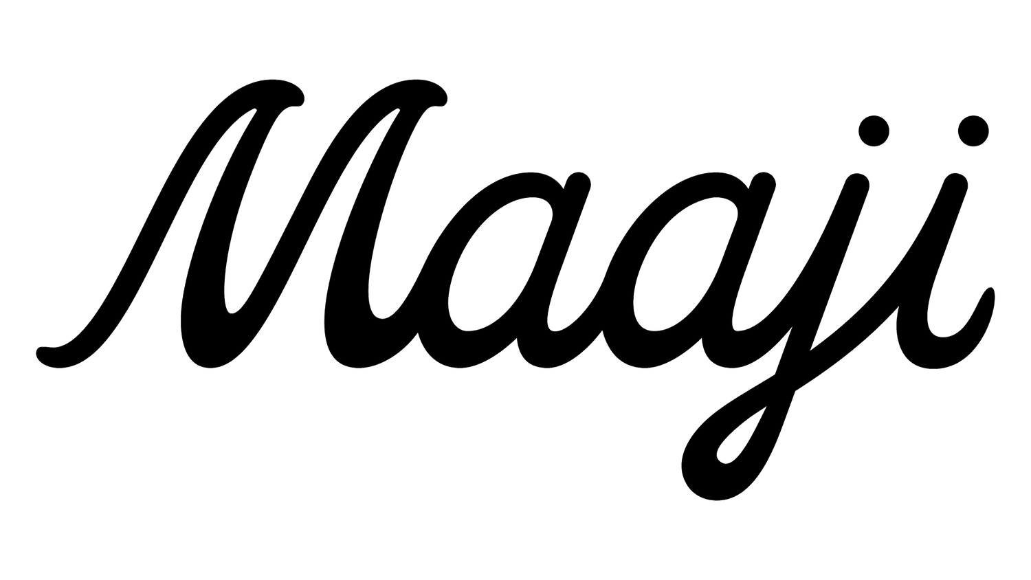 The word maggi on a green background.