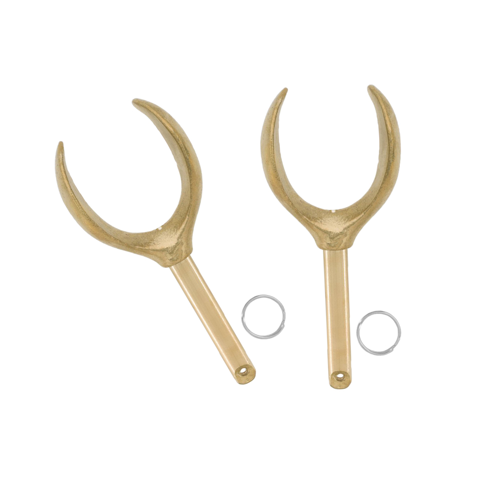 Two gold spoons with rings on a white background.