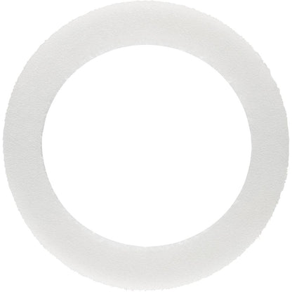 A circular, translucent white "Replacement Pump O-Ring" by Carlson rests on a plain white background.