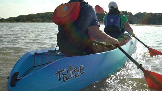 Tribe 11.5